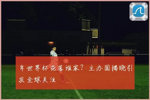 年世界杯花落谁家？主办国揭晓引发全球关注