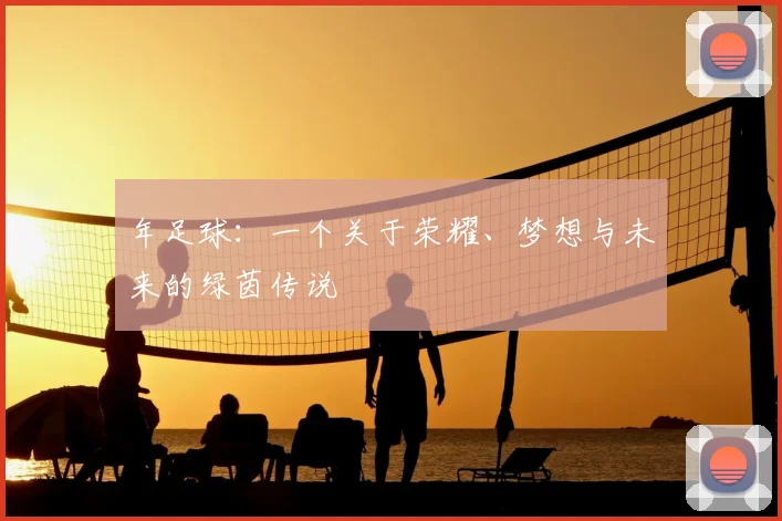 年足球：一个关于荣耀、梦想与未来的绿茵传说