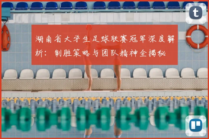 湖南省大学生足球联赛冠军深度解析：制胜策略与团队精神全揭秘