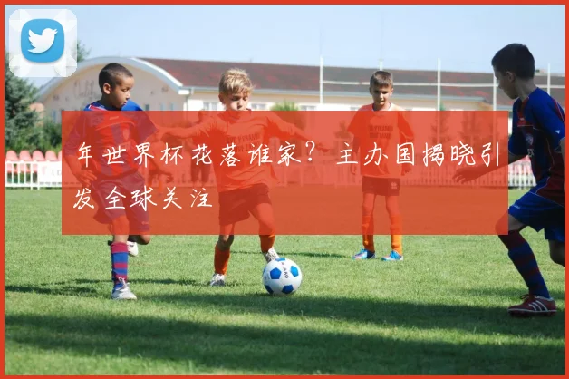 年世界杯花落谁家?主办国揭晓引发全球关注